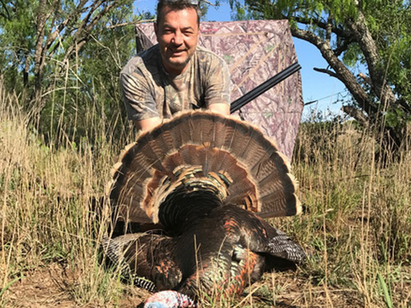 Wild-Turkey-Hunts-San-Antonio-TX